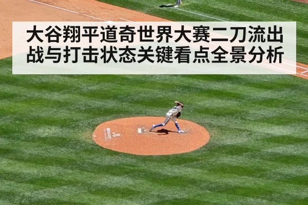 baseball pitcher stadium